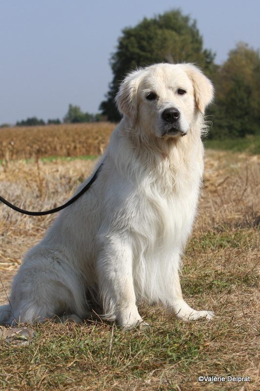 Field Erstein 09 (159).JPG